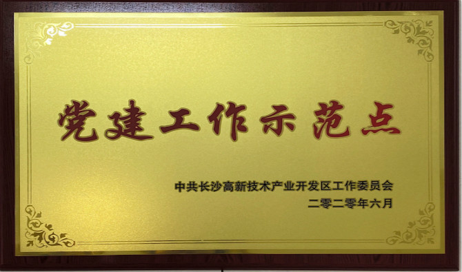 長沙高新區(qū)黨工委授予中共九芝堂股份有限公司委員會“黨建工作示范點”“優(yōu)秀黨務(wù)工作者”榮譽(yù)稱號