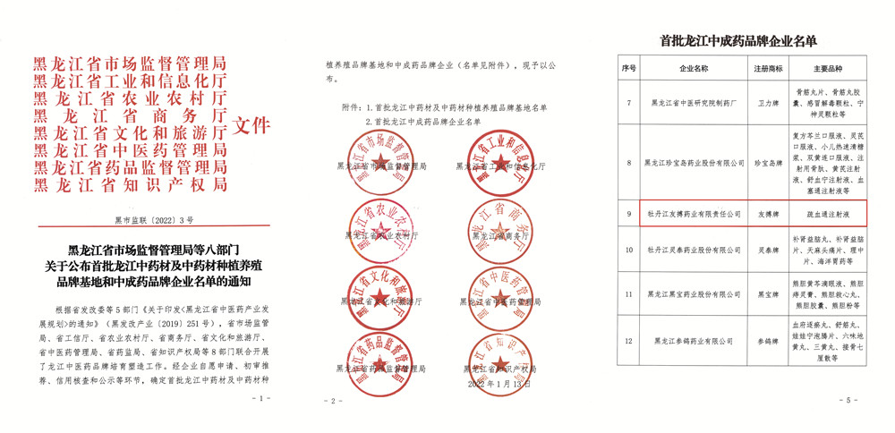 友搏藥業(yè)喜獲“首批龍江中成藥品牌企業(yè)”榮譽(yù)稱號(hào)